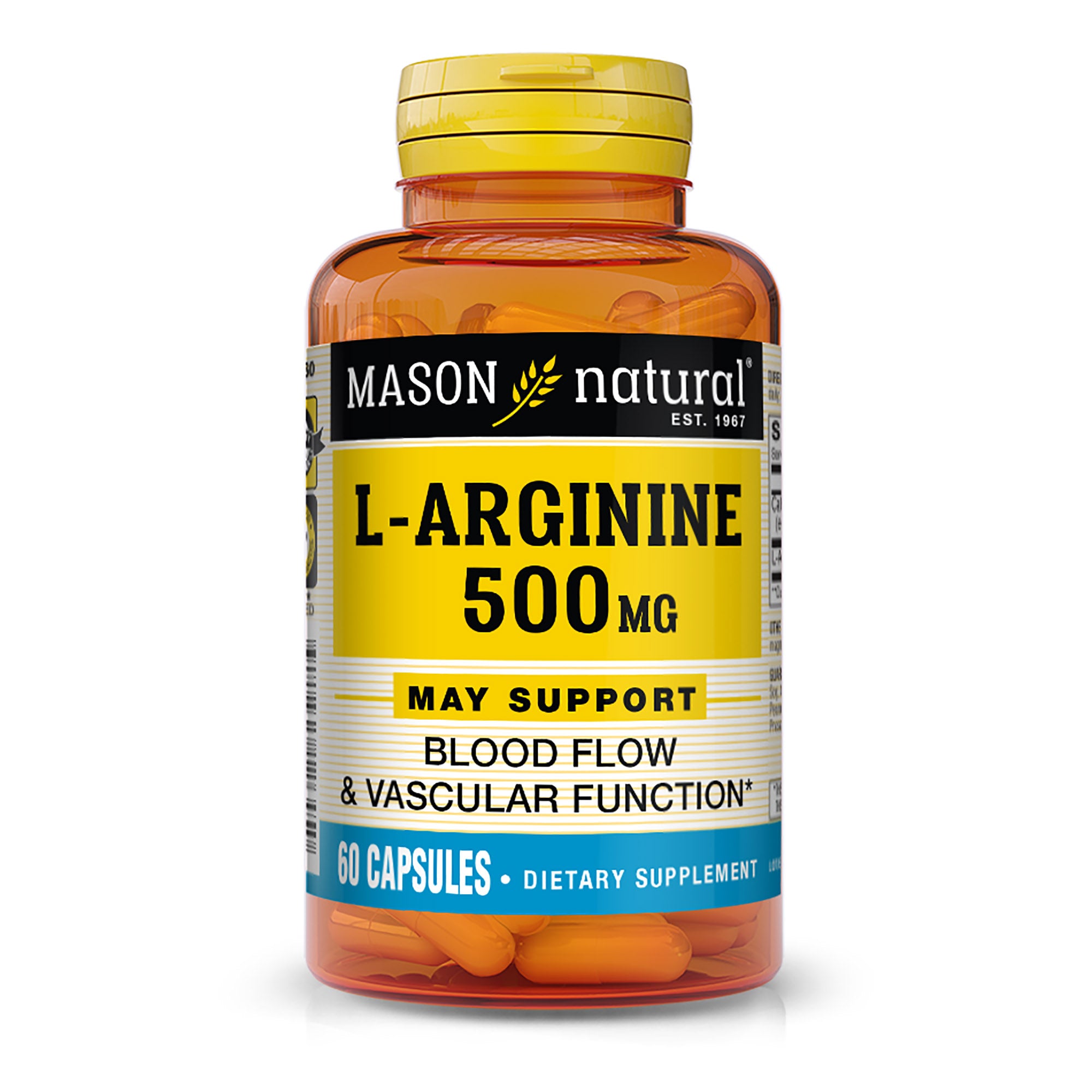 L-Arginine 500 mg with Calcium- Supports Healthy Circulation & Vascular Function, Nitric Oxide Supplement, 60 Capsules