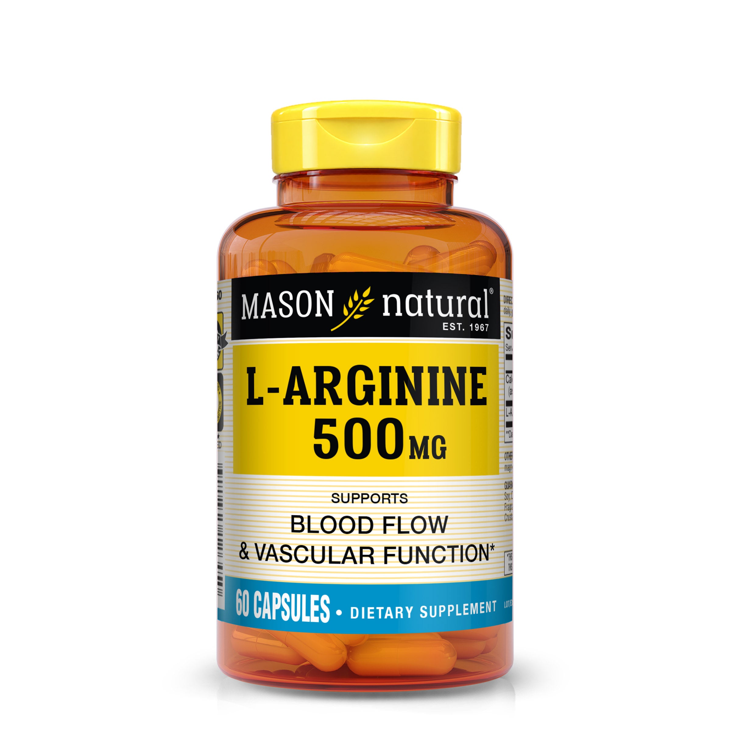 L-Arginine 500 mg with Calcium- Supports Healthy Circulation & Vascular Function, Nitric Oxide Supplement, 60 Capsules