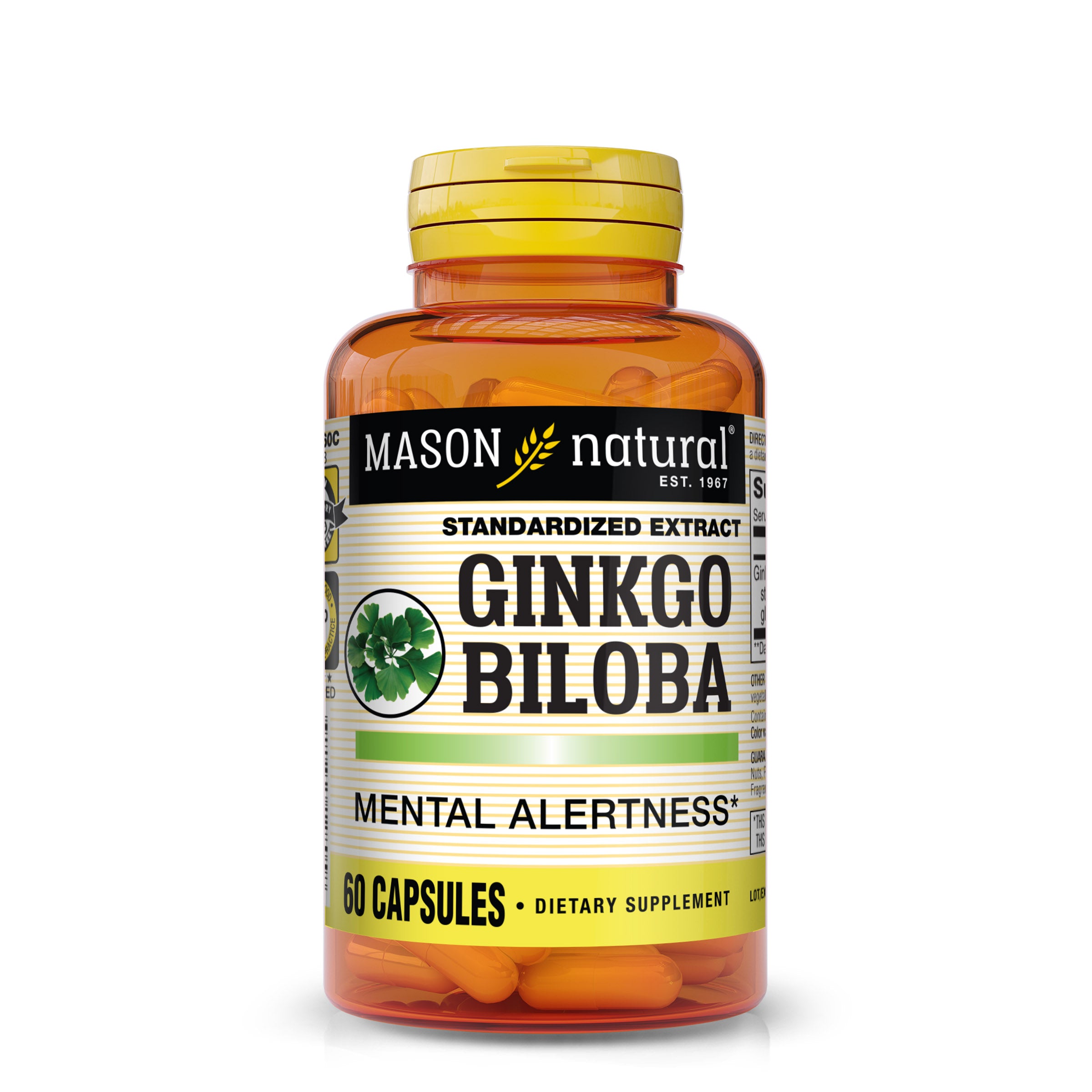 Mason Natural Ginkgo Biloba, Supports Mental Alertness, 60 Capsules. Image of the front of the supplement bottle.