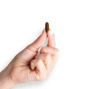 Prostate Therapy Complex with Saw Palmetto, Nettle Root & Pumpkin Seed Oil - Supports a Healthy Prostate Function*, 60 Softgels