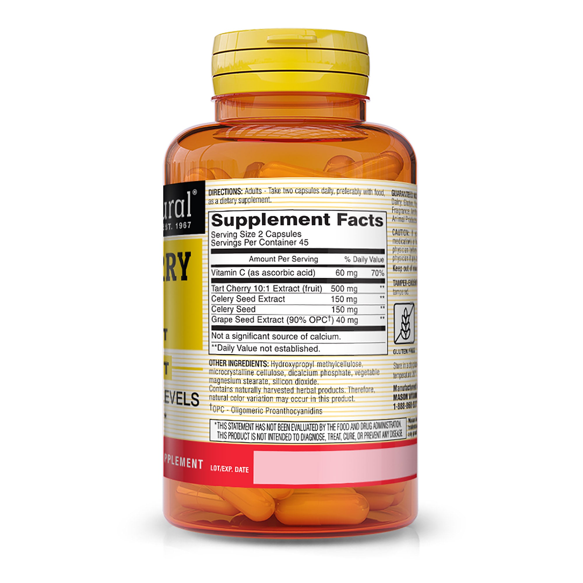 Tart Cherry 500 mg 10:1 Extract Veggie Caps, 90 Capsules