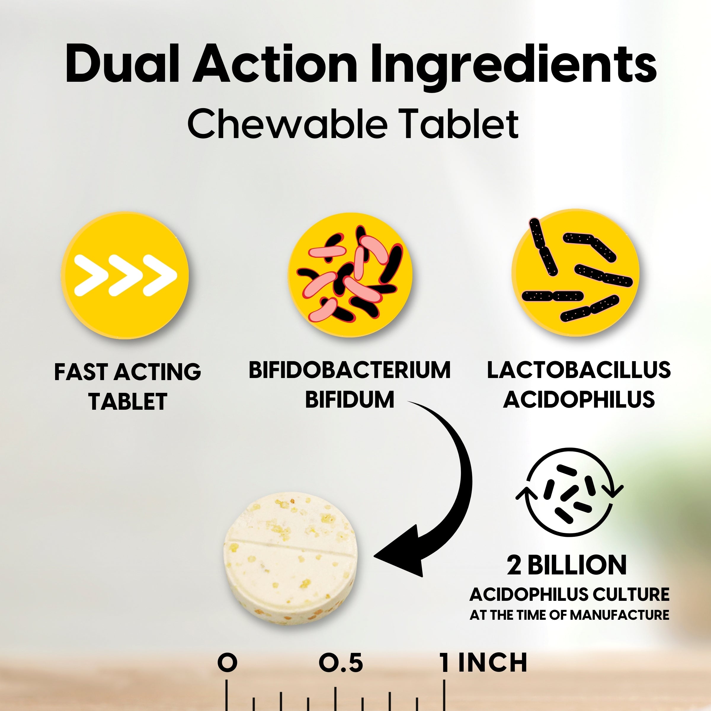 Chewable Probiotic Acidophilus & Bifidus – 2 Billion CFU – Digestive Support – 100 Wafers – Strawberry Flavor