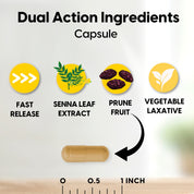 Prune Senna Concentrate - Natural Vegetable Laxative, Promotes Regularity and Bowel Function, Improves Digestive Health, 100 Capsules
