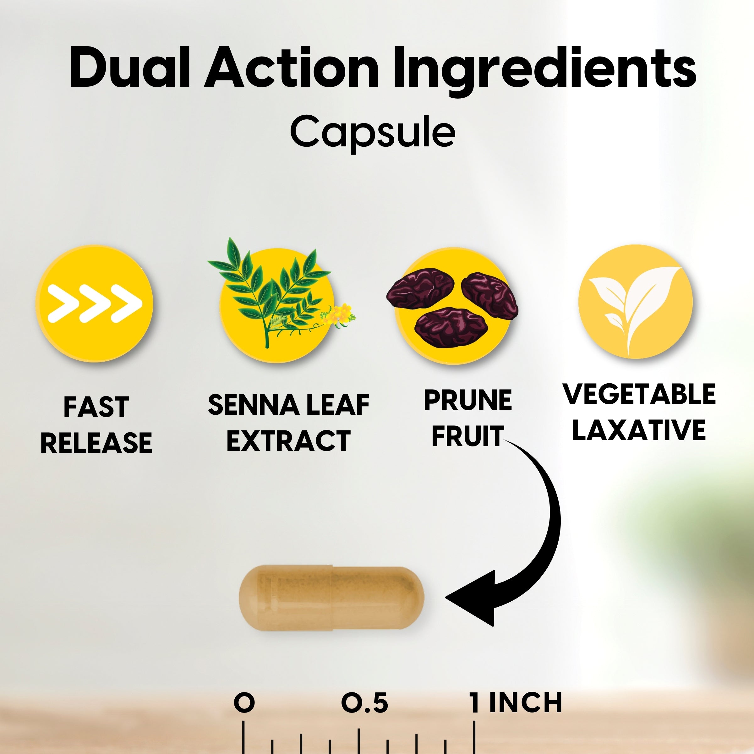 Prune Senna Concentrate - Natural Vegetable Laxative, Promotes Regularity and Bowel Function, Improves Digestive Health, 100 Capsules