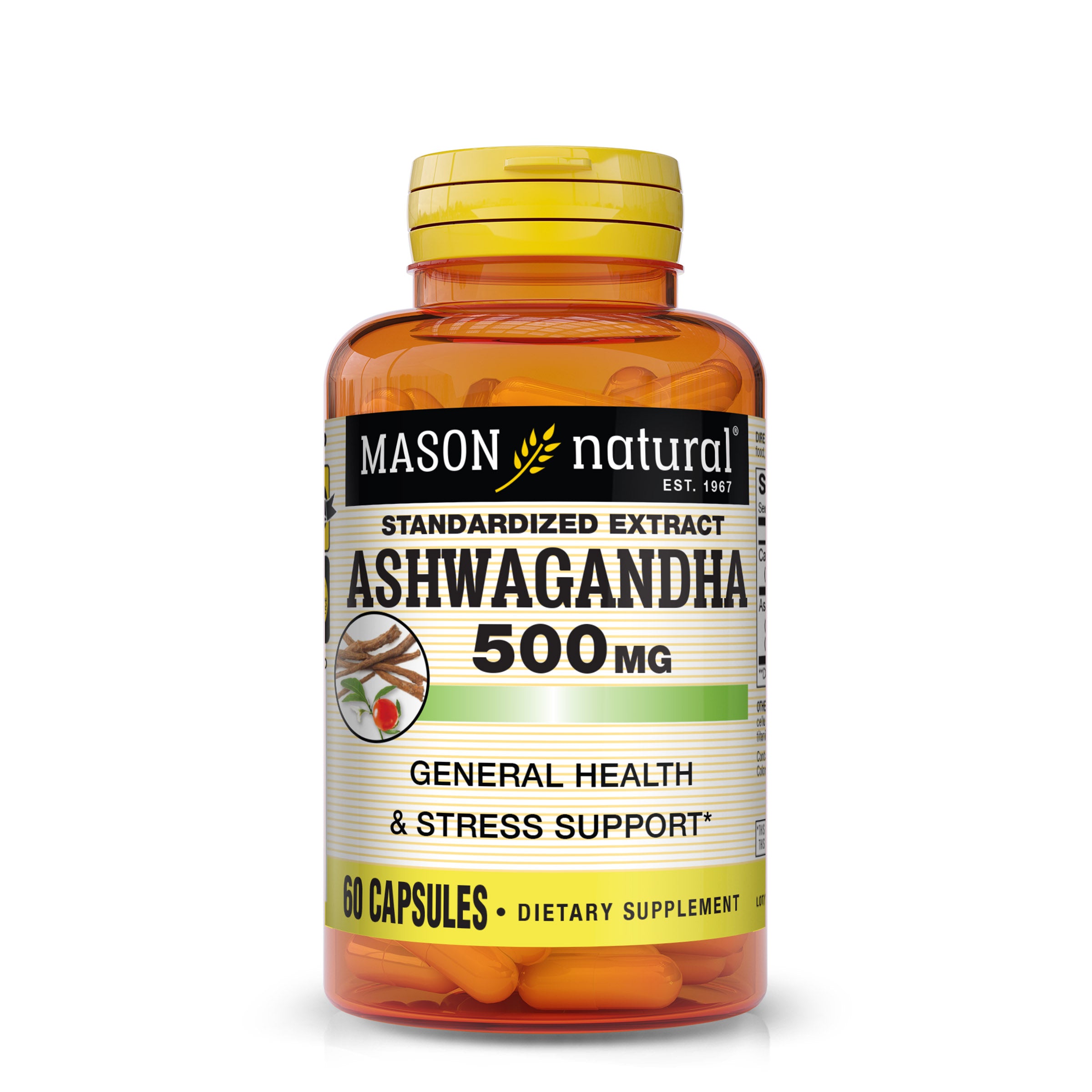 Image of the front of the Mason Natural Ashwagandha 500mg 60 capsules supplement bottle. 