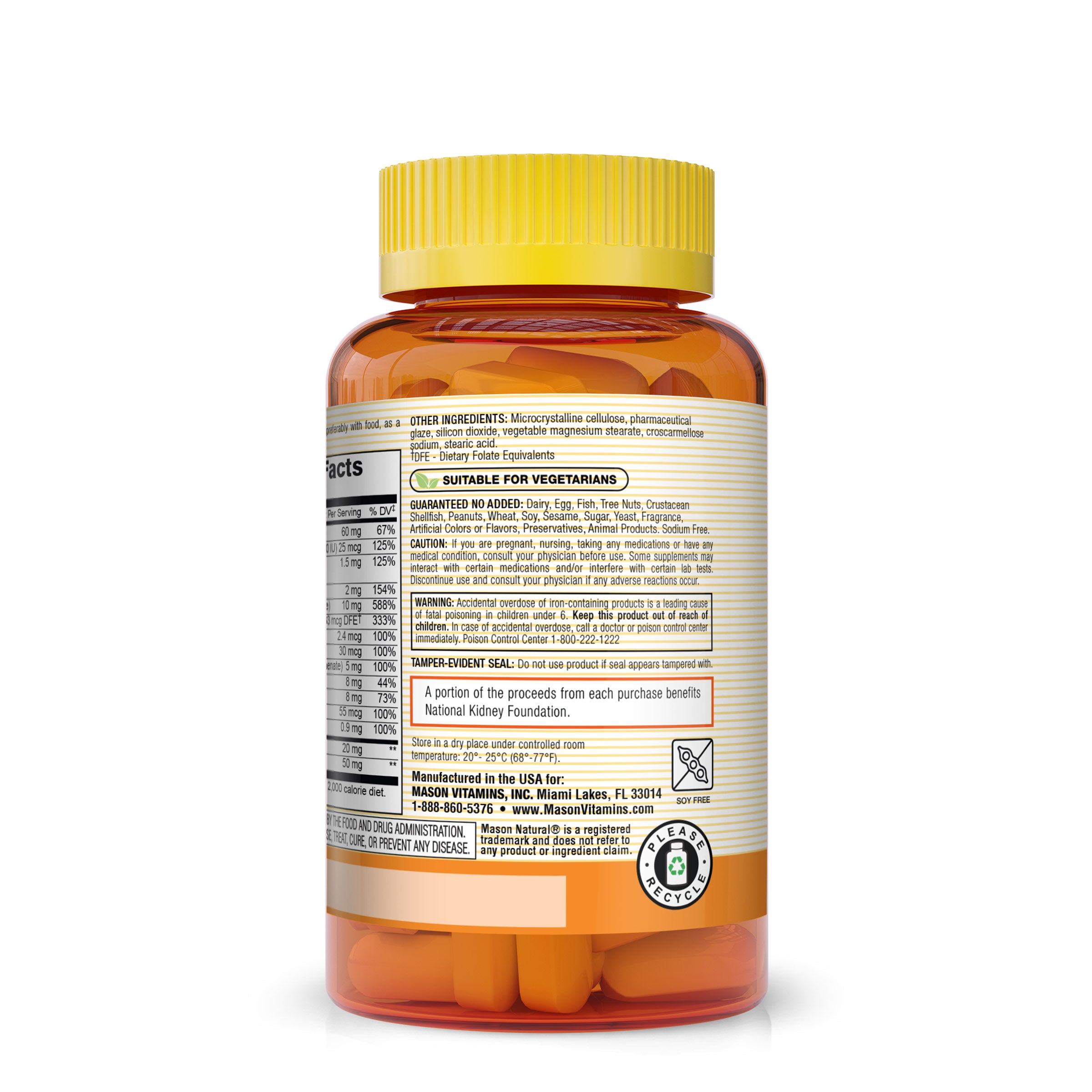 Mason Natural Renal Multivitamin, Kidney Function Health Supports, 100 Caplets