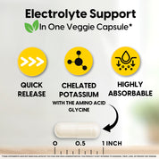 Mason Natural Optimum Absorption Potassium Glycinate, 90 Caps. Promotional graphic for an electrolyte support veggie capsule highlighting key benefits: 'QUICK RELEASE', 'CHELATED POTASSIUM WITH THE AMINO ACID GLYCINE', and 'HIGHLY ABSORBABLE'.