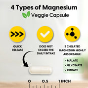 Magnesium 4-in-1 Complex 400mg, 60 Veggie Capsules