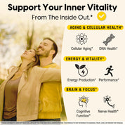 Mason Natural NAD+ Supplement with Resveratrol, Supports Cellular & Brain Health, Energy & Vitality, 60 Veggie Caps