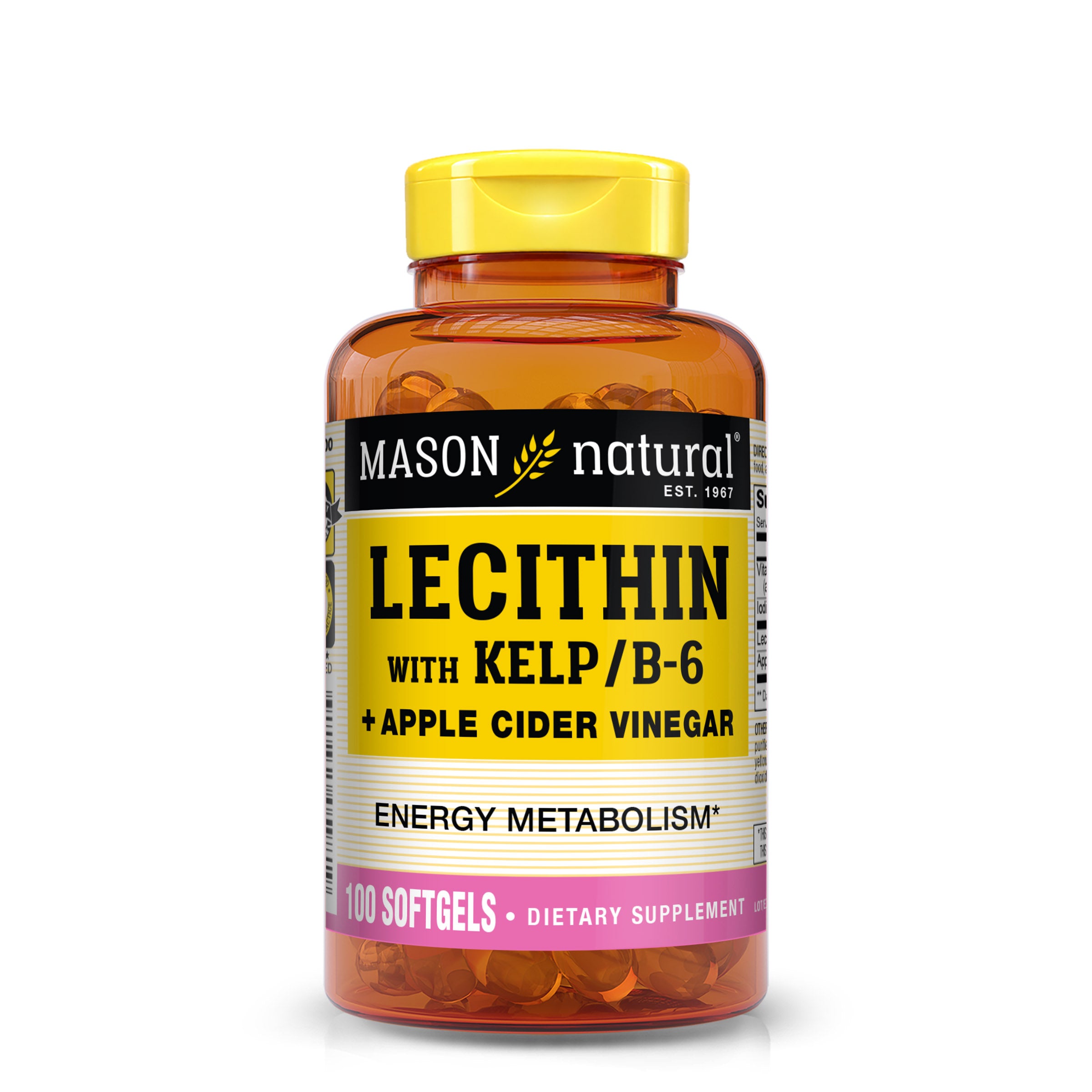 Lecithin with Kelp/Vitamin B6 plus Apple Cider Vinegar - Dual Action Formula, Healthy Energy  Metabolism, Promotes Liver and Reproductive Health, Promotes General Wellness, 100 Softgels
