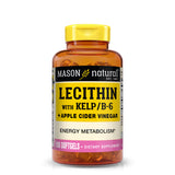 Lecithin with Kelp/Vitamin B6 plus Apple Cider Vinegar - Dual Action Formula, Healthy Energy  Metabolism, Promotes Liver and Reproductive Health, Promotes General Wellness, 100 Softgels